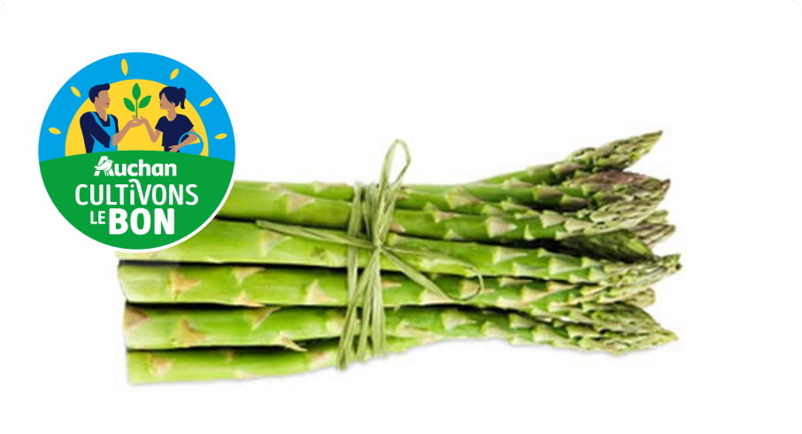 L’asperge verte : le plaisir gourmand du printemps !