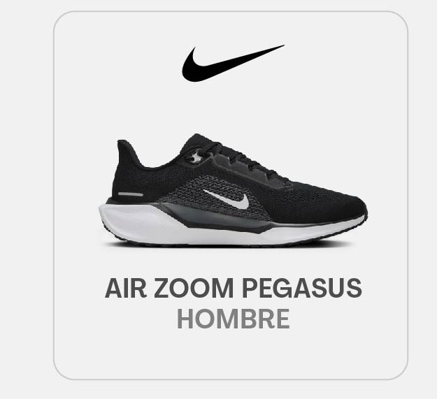 AIR ZOOM PEGASUS HOMBRE