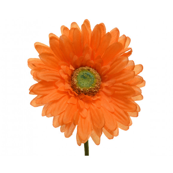 Gerbera Op Steel Oranje H 50cm Ø 10cm -