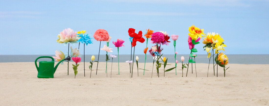 zet knokke in bloei