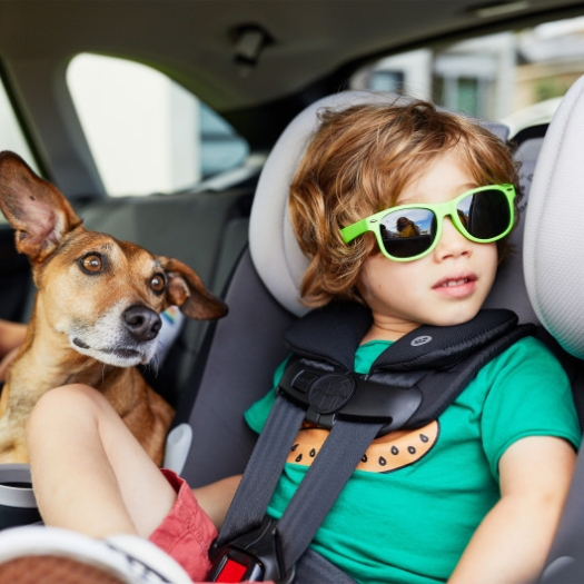 Child in a car seat with a dog and sunglasses on