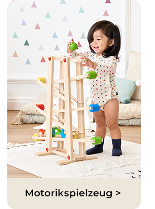 Motorikspielzeug