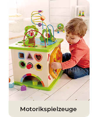 Motorikspielzeuge