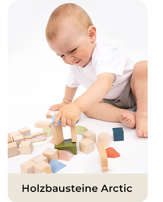 Holzbausteine Arctic