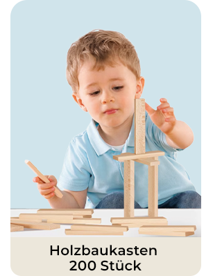 Holzbaukasten 200 Stück
