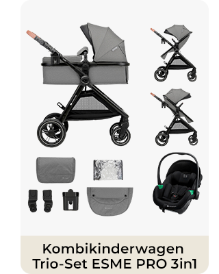 Kombikinderwagen Trio-Set ESME PRO 3in1