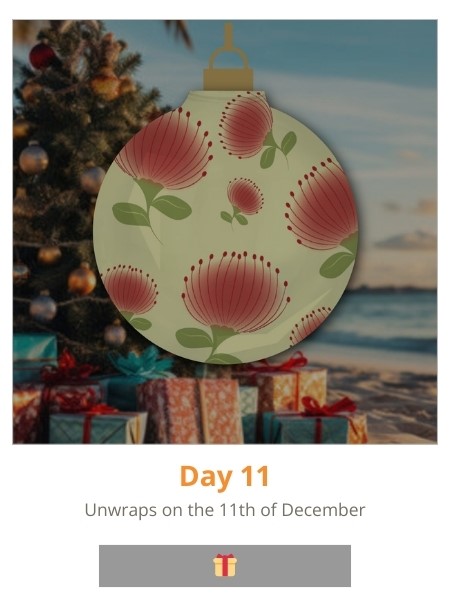 Day 11 - Deal revealed on the 11th of December