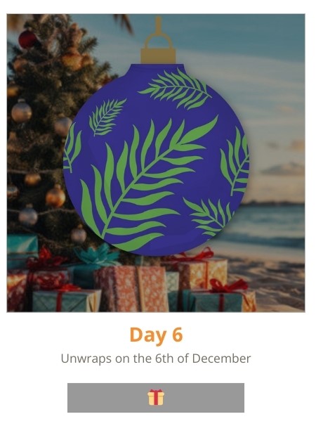 Day 6 - Deal revealed on the 6th of December