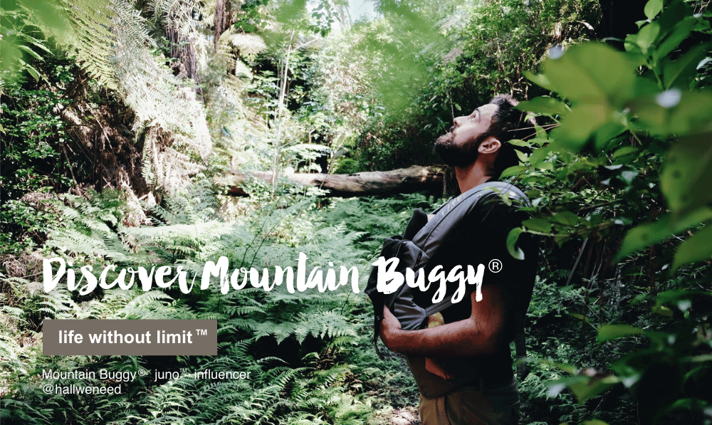 Discover Mountain Buggy
