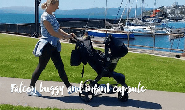 Shop Falcon buggy and Infant capsule