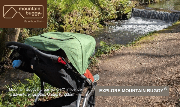 Sho Mountain Buggy