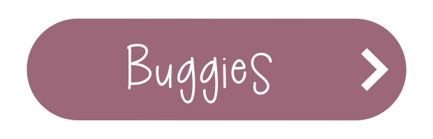 Buggies