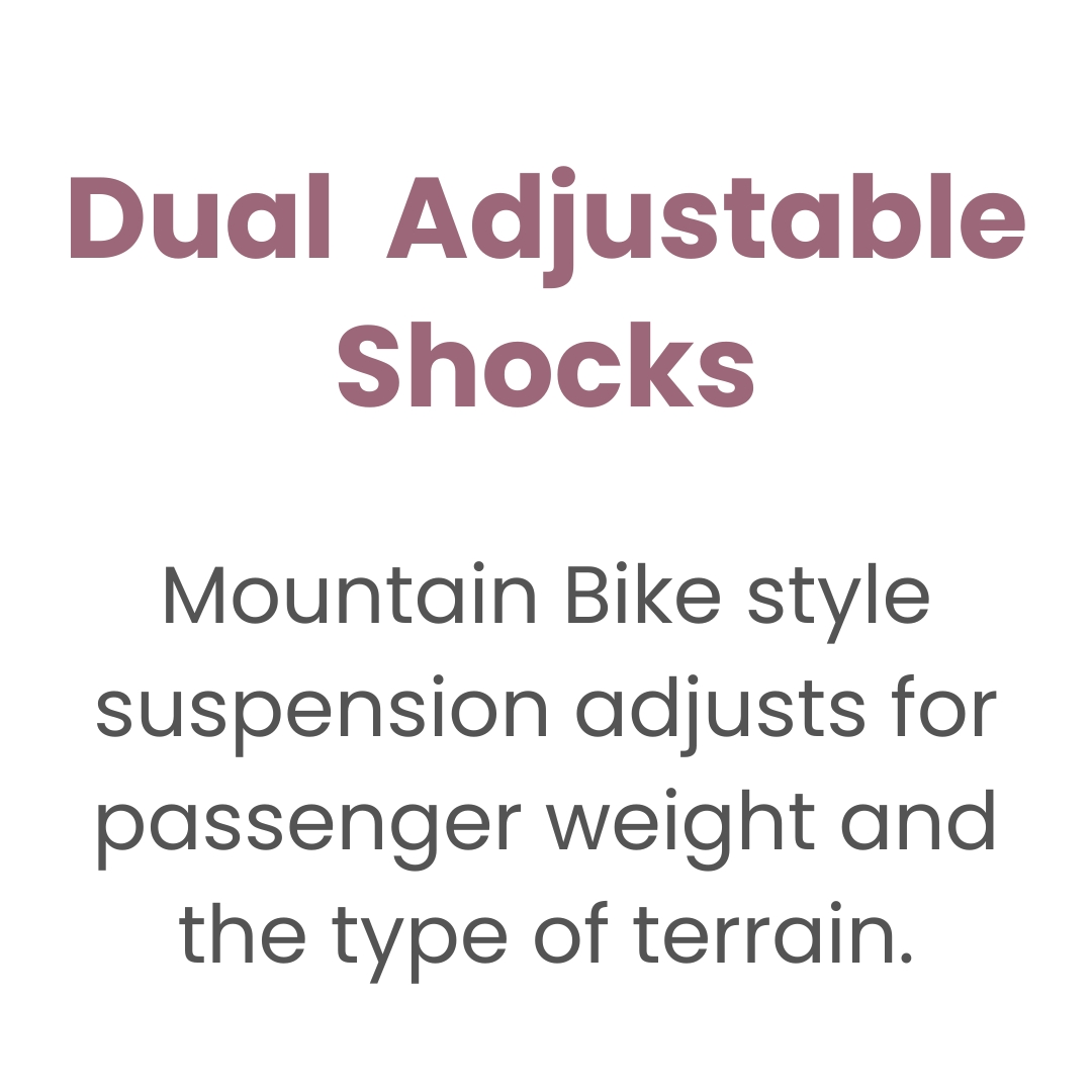 Dual adjustable shocks