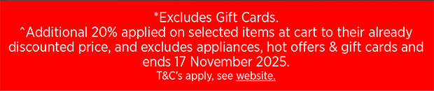 BACCARAT TERMS & CONDITIONS