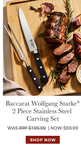 Baccarat WOLFGANG STARKE 2 Piece Stainless Steel Carving Set