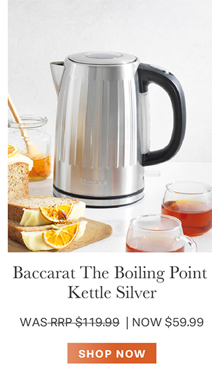 Baccarat The Boiling Point Kettle Silver