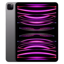iPad Pro
