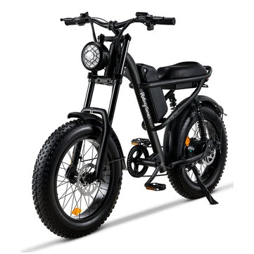 [EU DIRECT] Riding'times Z8 Electric Bike 48V 15Ah 500W 20*4.0 Inch Fat Tire Electric Bike 90-120km Max Range Dual Mechanical Disc Brake