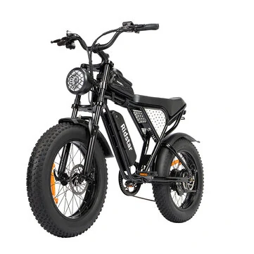 [EU DIRECT] Ridstar Q20 Mini Electric Bike 48V 15AH Battery 1000W Motor 20inch Tires 60-80KM Max Mileage 150KG Max Load Electric Bicycle