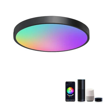 LIXINCORDA 24W WIFI Smart Ceiling Lamp Bluetooth RGBCW Colorful 1920lm Bedroom Lamp Works With Tuya Alexa Google