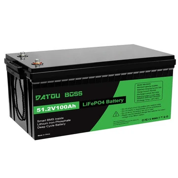 [EU Direct] DATOUBOSS LiFePO4 Battery 24V 48V 100Ah 2560Wh/5120Wh with Upgraded BMS 100A Max Depth Cycle 8000 Cycles Support Series/Parallel for RV Solar Panel Marine Home