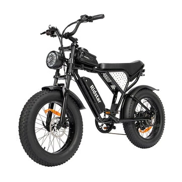 [EU DIRECT] Ridstar Q20 Mini Electric Bike 48V 15AH Battery 1000W Motor Recommended Top Speed 25KM/H 20inch Tires 60-80KM Max Mileage 150KG Max Load Electric Bicycle