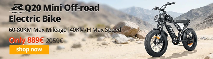 Ridstar Q20 Mini Electric Bike