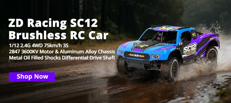 ZD Racing SC12 RC Car