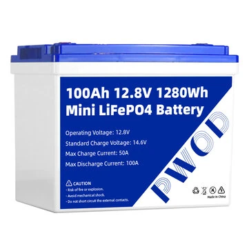 PWOD 12.8V 100Ah 1280Wh Mini LiFePO4 Battery Pack Grade A Build-in BMS Lithium Iron Phosphate For RV EV Camping