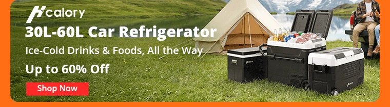 Car-Refrigerator