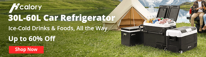 Car-Refrigerator