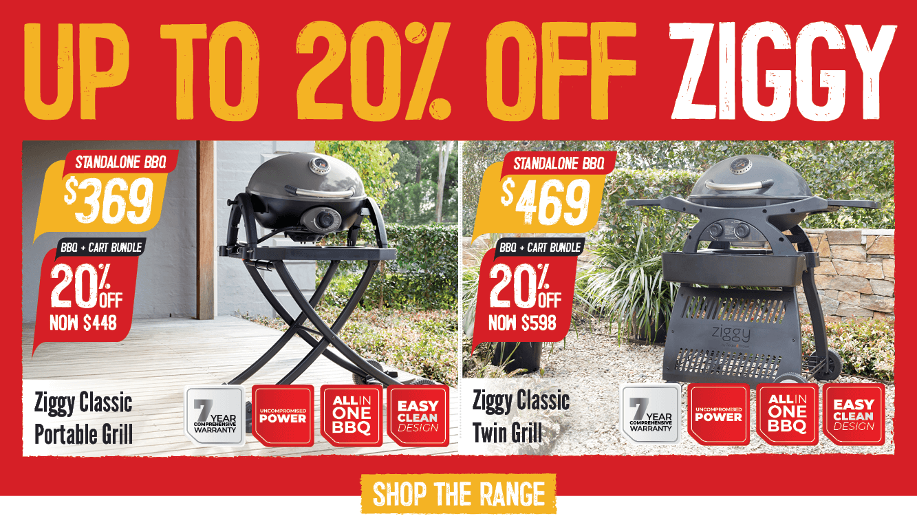 Up To 20% Off Ziggy