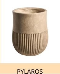 PYLAROS
