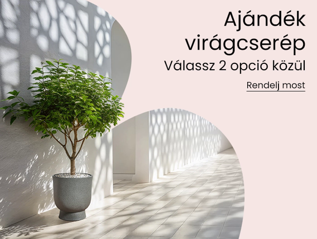 Soon Ending Campaign