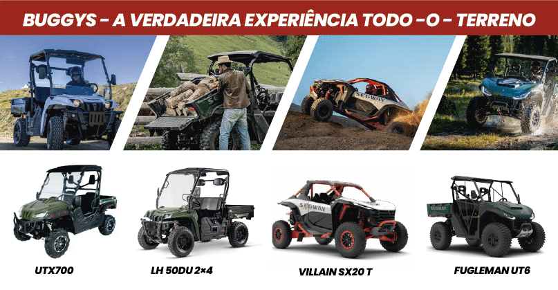 Buggys - A verdadeira experi&ecirc;ncia todo-o-terreno