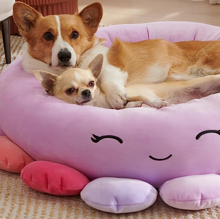 We Regret to Inform Your Wallet, But Amazon Has Squishmallows for Pets