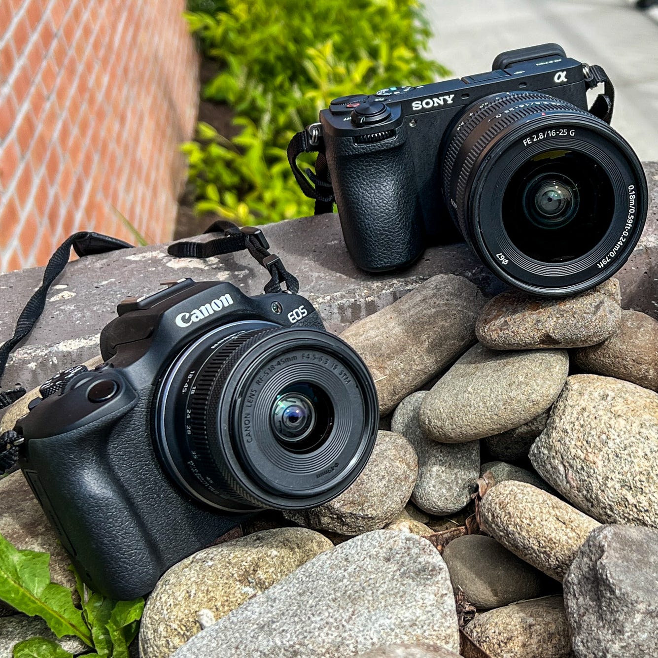 4 Best Cameras for Beginners Looking to Capture Stunning Photos