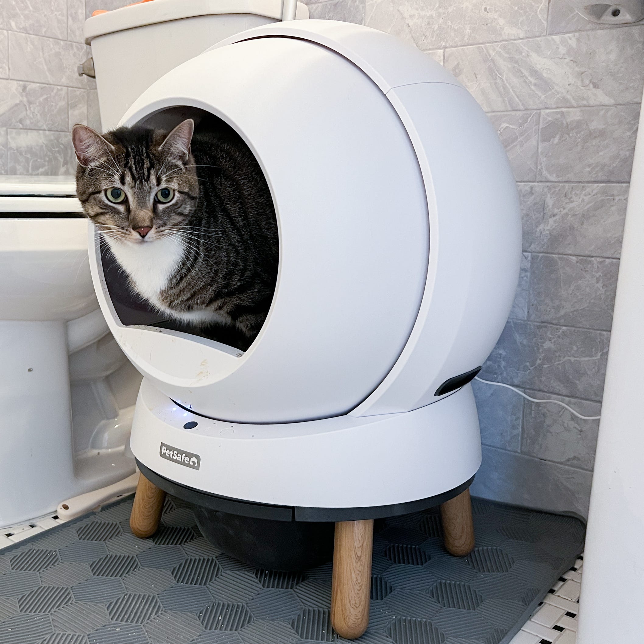 My Cats Tested Self-Cleaning Litter Boxes — Here Are the Ones They (and I) Loved