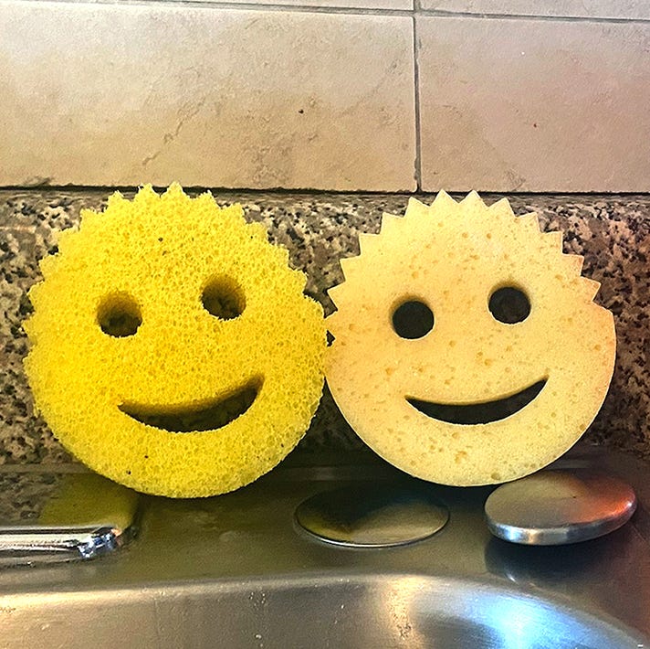 The Scrub Daddy and Scrub Mommy Sponges Completely Changed the Way I Do My Dishes