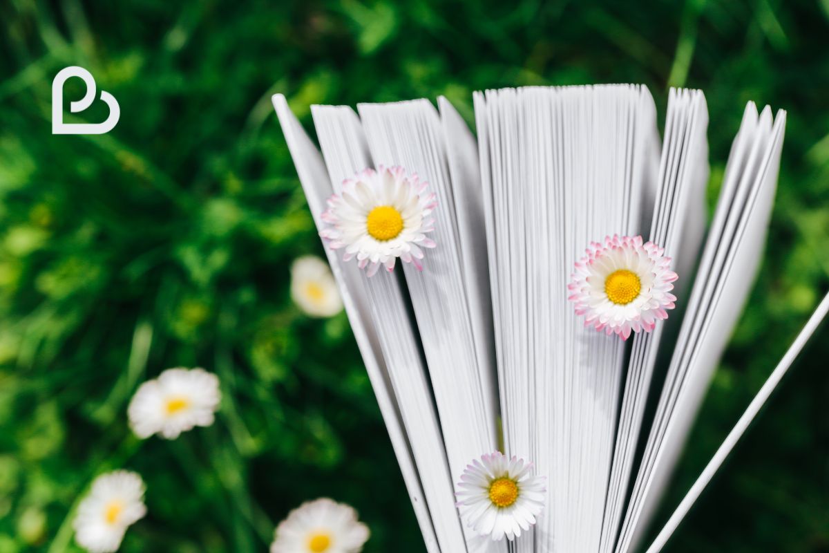 Immagine 


del blog