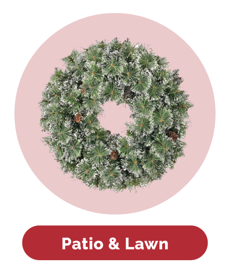 Patio & Lawn
