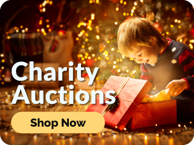 Charity auctions