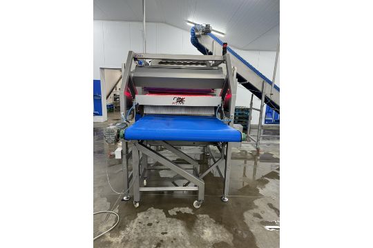 Raytec optical sorter