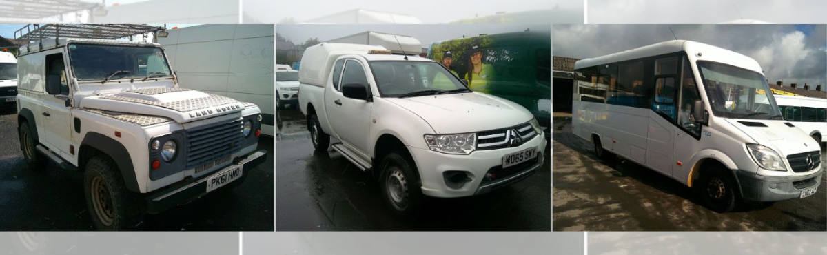 17th September - 24th September