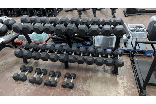 Large Complete Primal Dumbbell Set comprising…