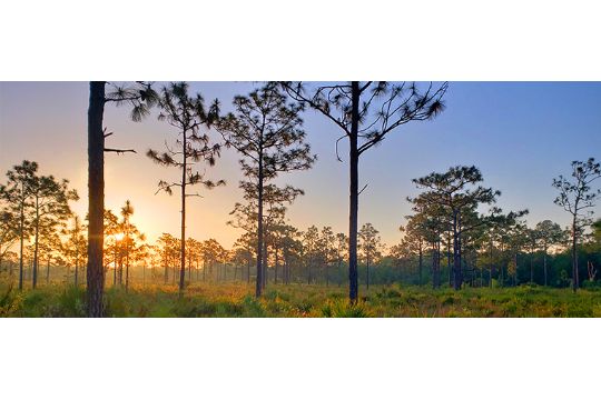 Peaceful Parcel in Charlotte County, Florida!