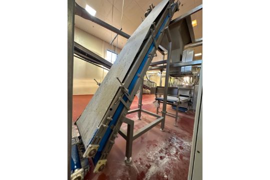 Sancassiano pinch conveyor