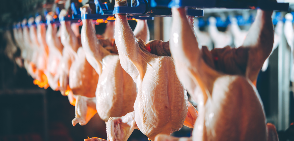 Multi-Plant Poultry Slaughter, Further Processing, Packaging, Refrigeration and Support - Sale in Partnership with Barliant Auctions