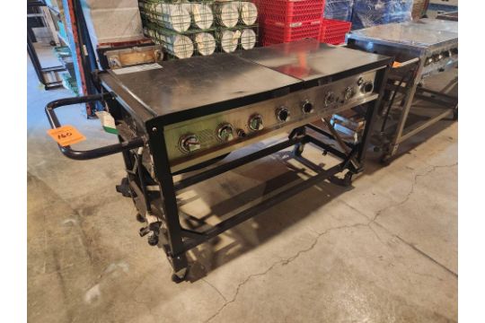 Portable Gas Grill