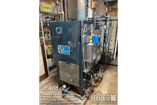 Brite Engineering steam boiler, 15 psi, 250 F max temp